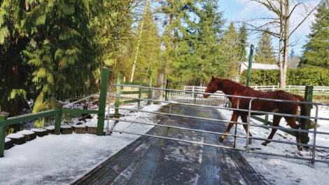 DIY Adjustable Livestock Gate Image